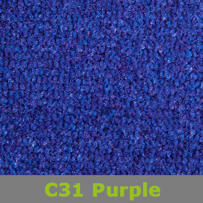 C31_Purple