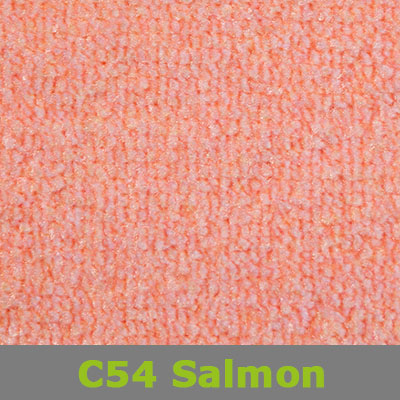 C54_Salmon
