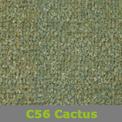 C56_Cactus