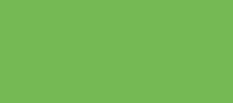 Irischgrün